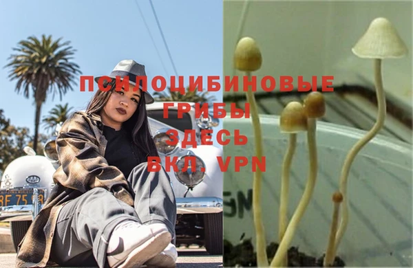 MDMA Вяземский